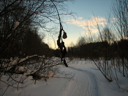 IMG 0136 1.jpg