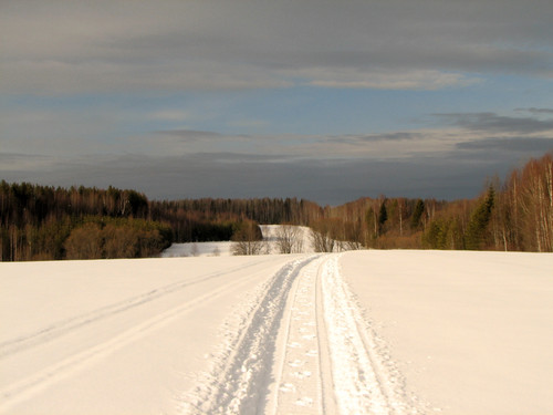 IMG 0170 1.jpg