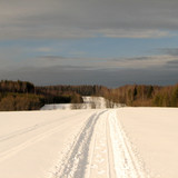 IMG 0170 1