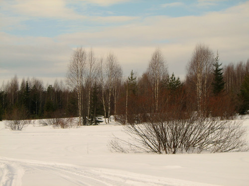 IMG 0166 1.jpg