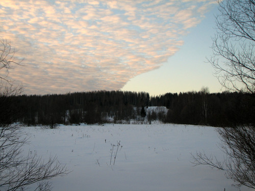 IMG 0149 1.jpg