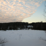 IMG 0149 1