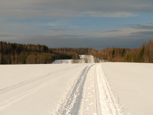 IMG 0169 1.jpg