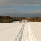 IMG 0169 1