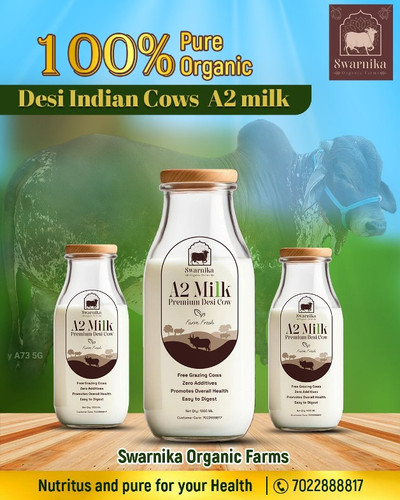 Natural Desi cow Milk In Bangalore.jpg