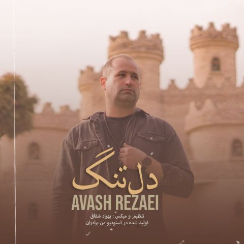 دانلود آهنگ آوش رضائی به نام دلتنگ