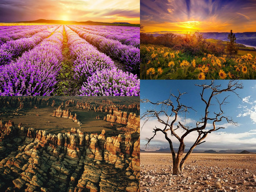 ' Glorified is The  All-Mighty Creator '.jpg