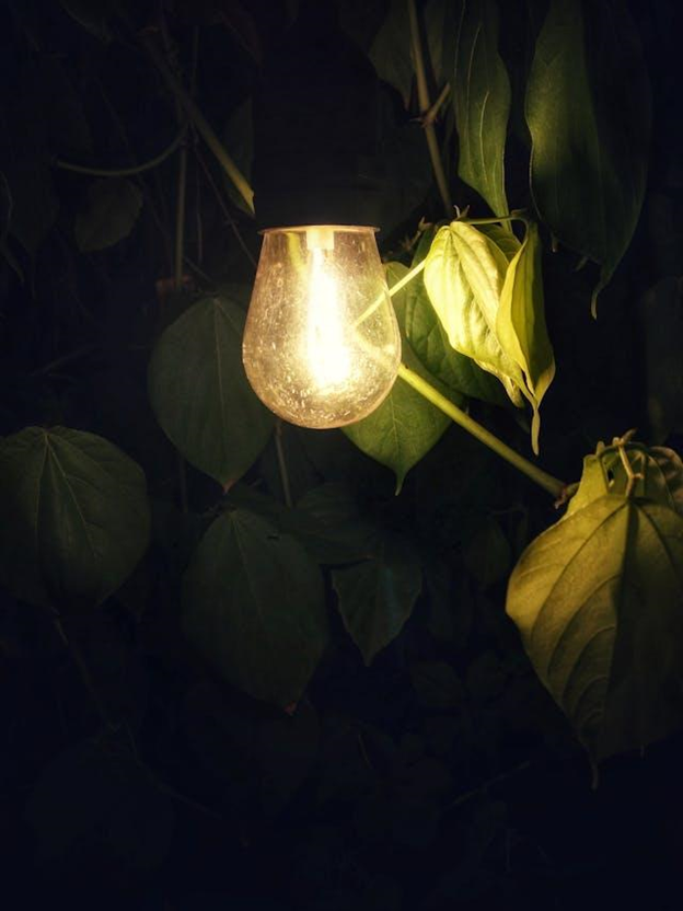 Garden Lighting