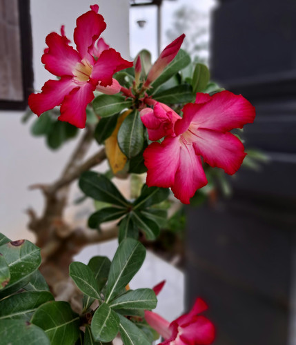 IMG 20250301 122642.jpg
