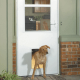 Enhance Your Home with Storm Doors for Pets.gif