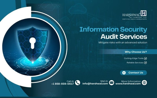 information security audit services mitigate risks HCLLP.jpg