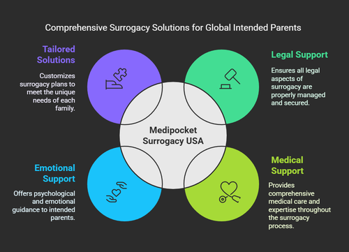 International Intended Parents Surrogacy USA _ Medipocket Surrogacy USA – Qatar & China Solutions -.png