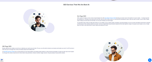 SEO Service in UAE.png