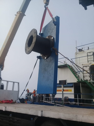 WhatsApp Image 2025 01 20 at 17.29.16