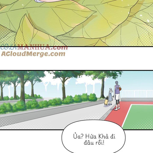 44.jpg
