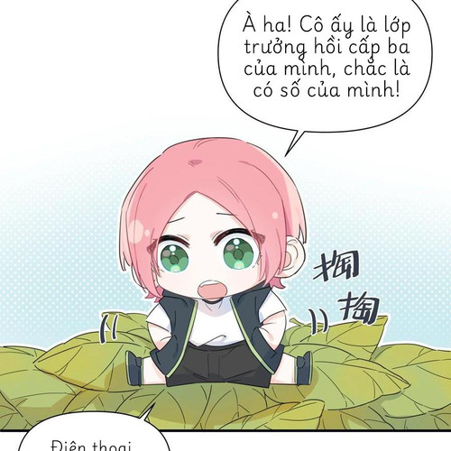 48.jpg