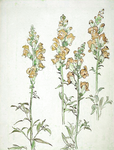 21 sin título 20250304043305.png