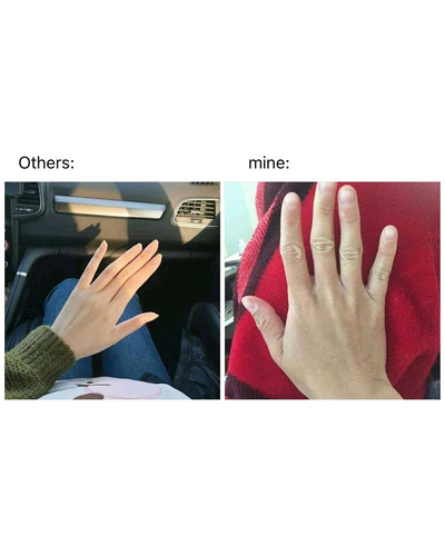 482239635 122109005036781409 1140172812701233739 n.jpg