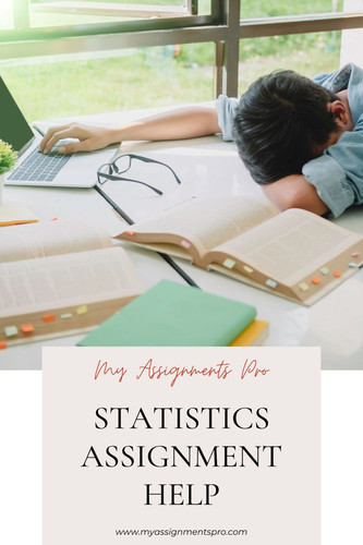 statistics assignment help.jpg