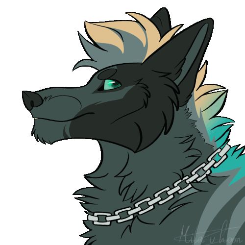 IMG 3113.gif