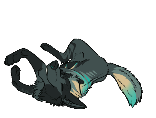 IMG 3114.gif