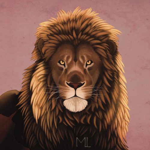 IMG 3128.png