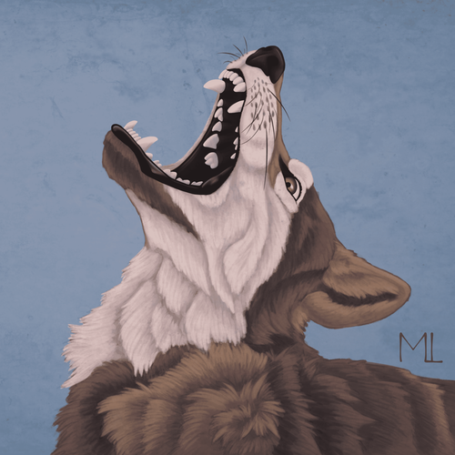 IMG 3133.png