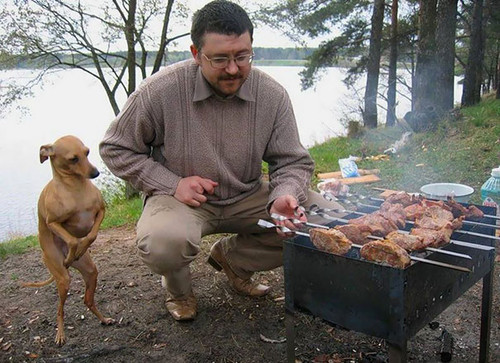funny hungry dogs begging food 9 5b44ad50f3aa6 605.jpg