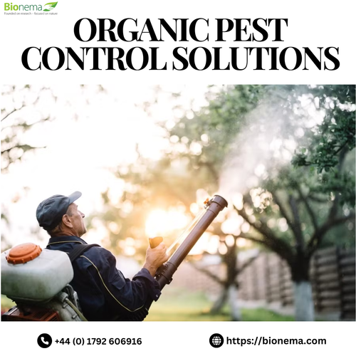 Organic Pest Control Solutions: Safe & Eco-Friendly Protection.png
