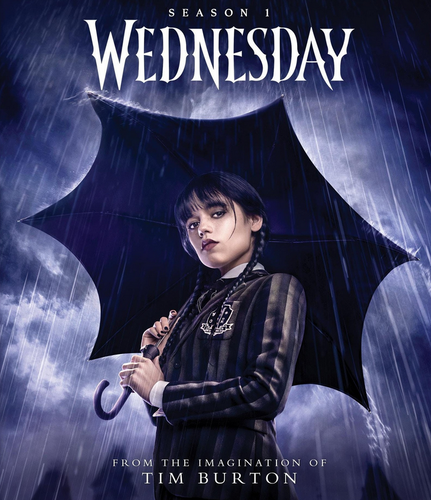 Screenshot 2025 03 04 at 11 04 42 Wednesday The Complete First Season Blu ray.png