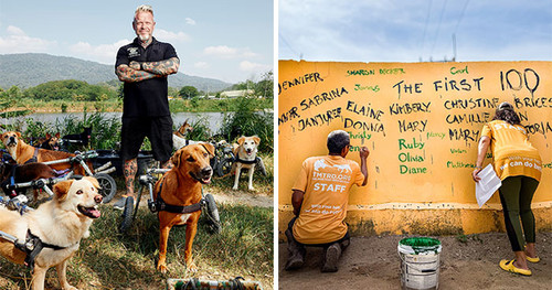 helping save street dogs the man that rescues dogs coverimage.jpg