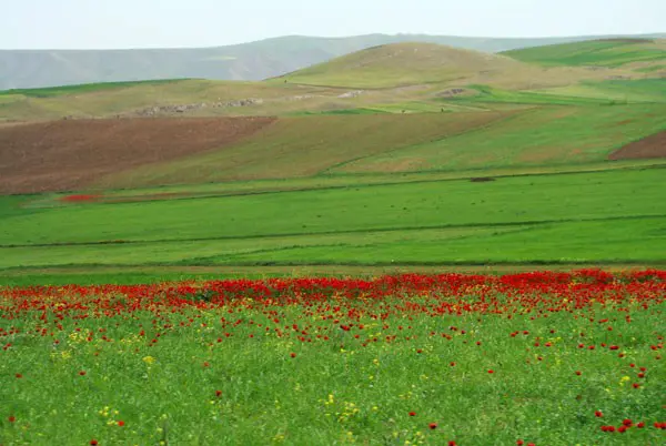 دشت مغان
