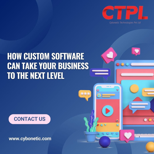How Custom Software Can Take Your Business to the Next Level.jpg