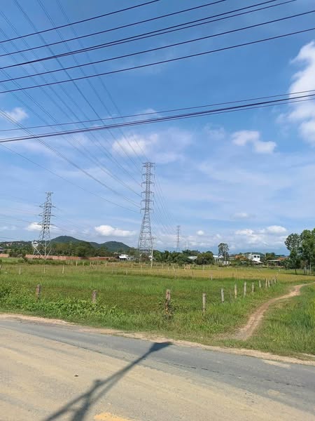 481205577 1291304905496522 2830741556586746112 n.jpg