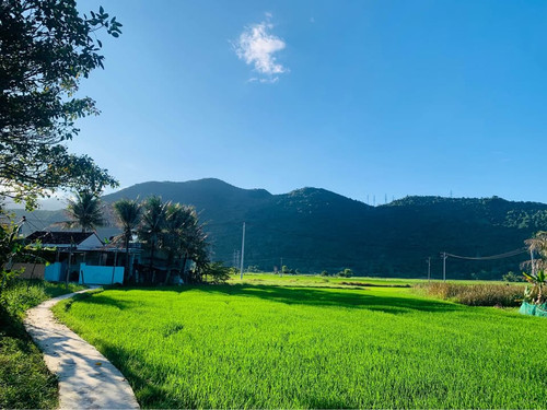 481895780 9212406175473553 2119070159718030163 n.jpg