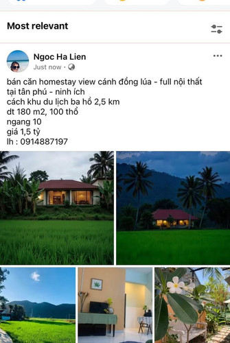 481995929 9212405918806912 2830067296136705948 n.jpg