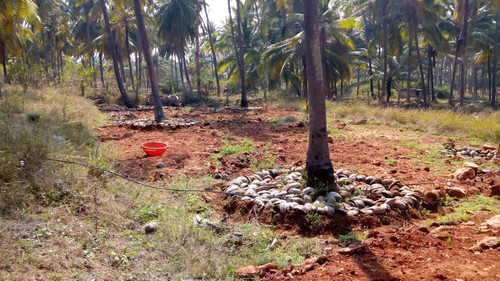 IMG 20200118 WA0057.jpg