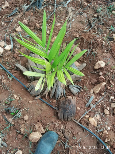 IMG 20200118 WA0063.jpg