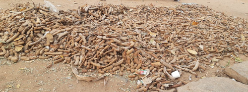 IMG 20200209 WA0070.jpg