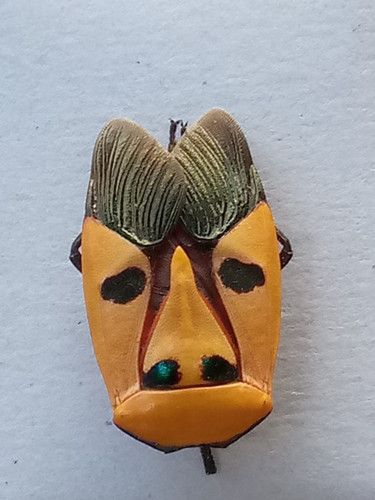 IMG 20200120 WA0042.jpg