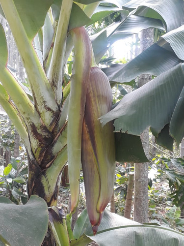 IMG 20201007 WA0046.jpg