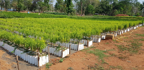 IMG 20200622 WA0035.jpg