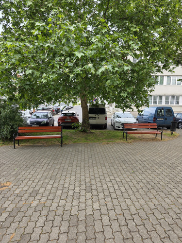 1000051579.jpg