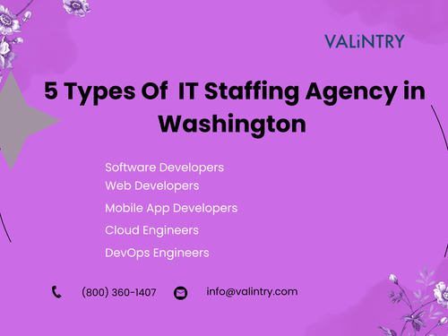 5 Types Of IT Staffing Agency in Washington (2).png