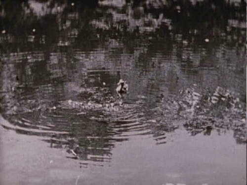 vlcsnap 2025 05 17 13h47m24s179.png