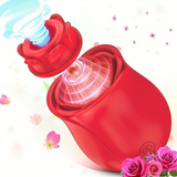 红色玫瑰花主图 5
