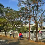 00011 大東濕地公園自行車橋
