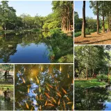 00012 大東濕地公園