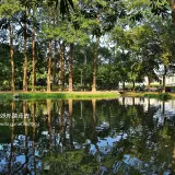00007 大東濕地公園生態池