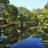 00004 大東濕地公園湖面如鏡